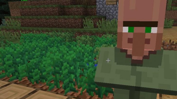 Minecraft мод на коноплю ценность семян конопли