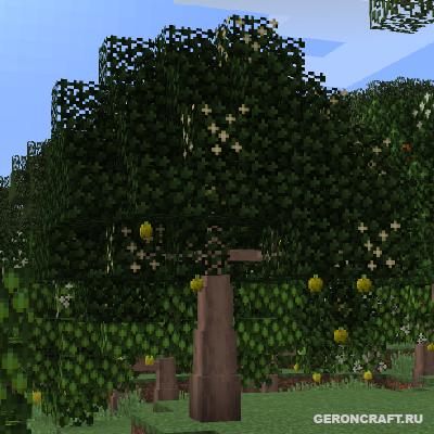 Dynamic trees 1.20. Dynamic Trees Quak 1.12.2. Мод на майнкрафт джава с порталом через дерево.