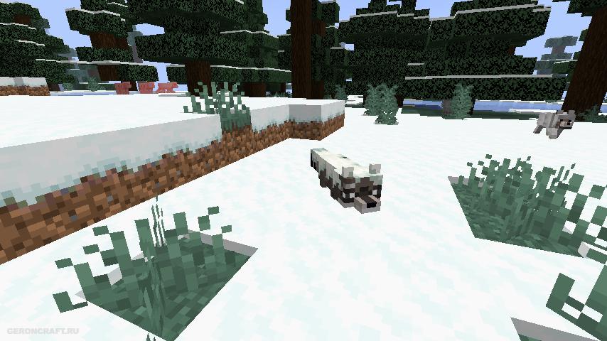 Статуя енота в майнкрафт. Мод на енотов. Мод на енотов в майнкрафт. Мод на енота в майнкрафт 1. Мод на енотов.